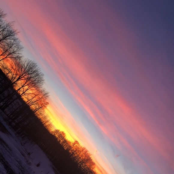 Meet your Posher, Grace - Picture 1 of 1